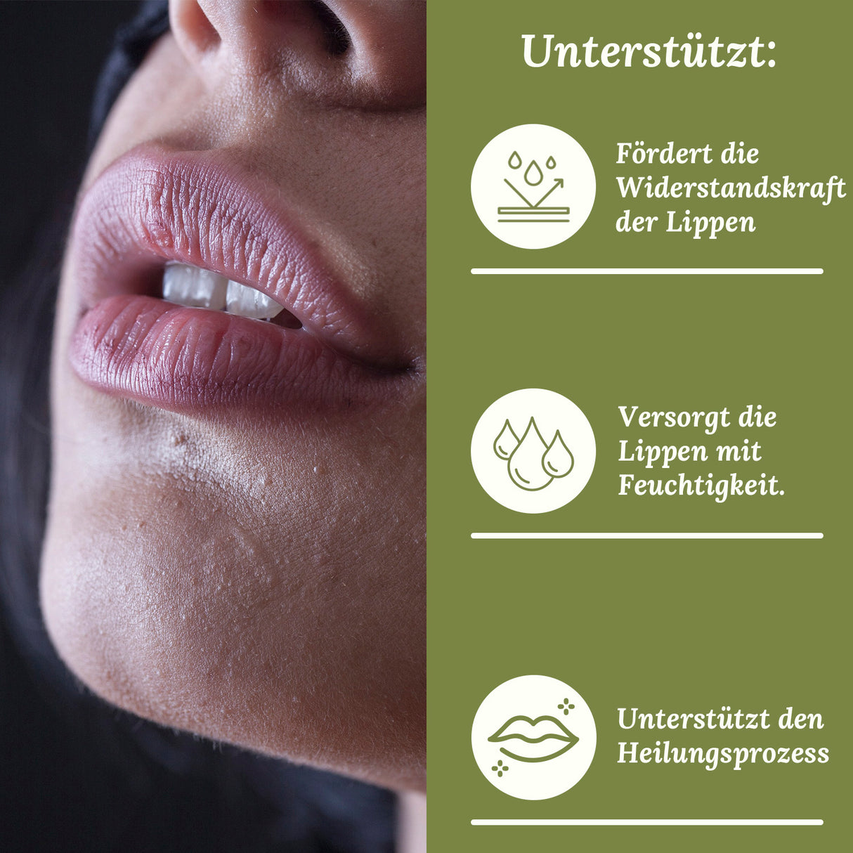 Pure Alps CBD Lippenbalsam